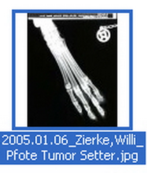 Abb 15 Vorschau Frakturbild