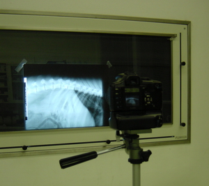 Abb 5 Canon 300 D mit Stativ