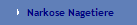 Narkose Nagetiere