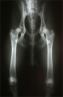 HD vor DBO Operation HD vor DBO Operation