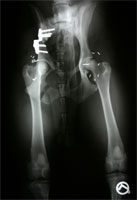 HD nach DBO Operation HD nach DBO Operation