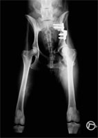 DBO Röntgen postoperativ DBO Röntgen postoperativ