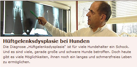 HD und Behandlungsmglichkeiten beim Hund. WDR Fernsehen 2008