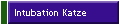Intubation Katze