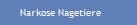 Narkose Nagetiere