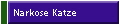 Narkose Katze