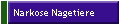 Narkose Nagetiere